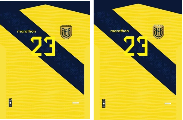 Ecuador Home COPA AMERICA 24 PRO