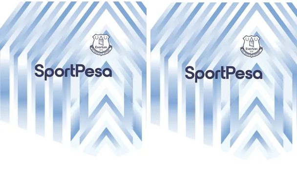 Everton 2018 2019 Third