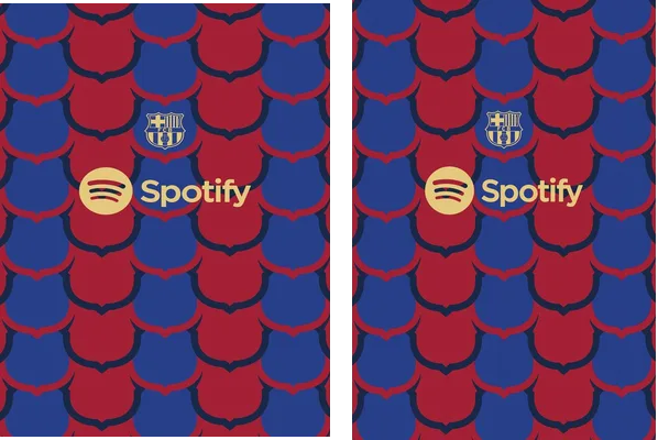 FC BARCELONA 2024 2025