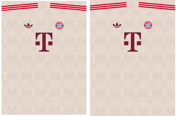 FC Bayern Third Kit 24 25