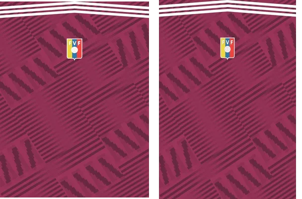 FEDERACION VENEZOLANA CONCEPT