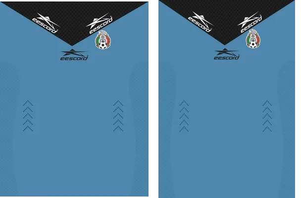 FEMEXFUT ARBITRO 2019