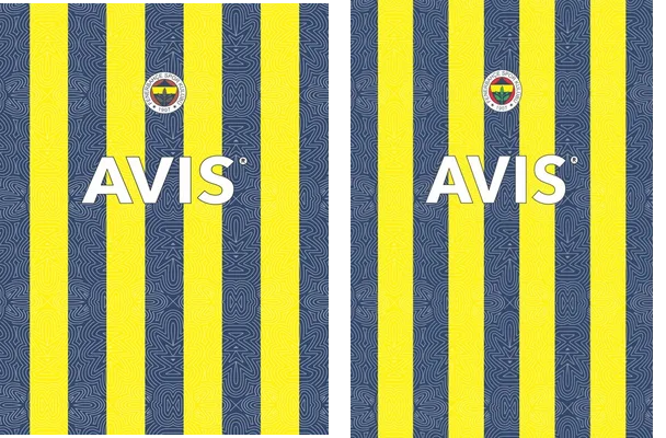 FENERBAHCE 01