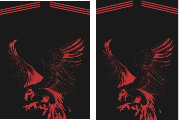 FLAMENGO 001