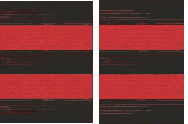 FLAMENGO 0017