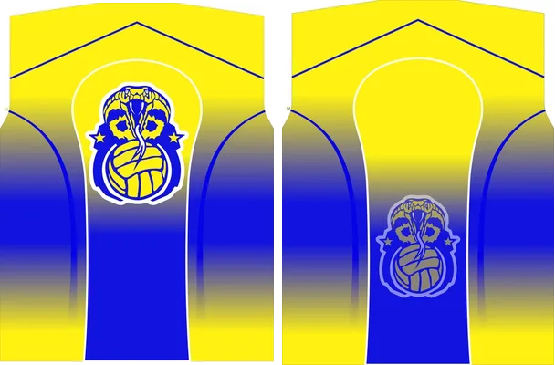FMVB COBRA VOLEY 2024