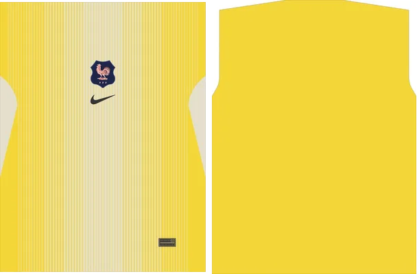 FRANCIA ARQUERO NIKE 2025 2026