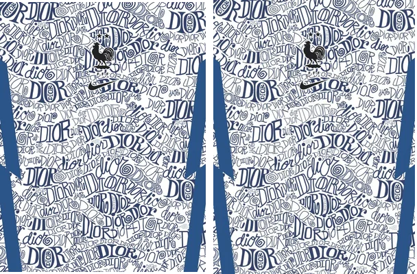 FRANCIA CONCEPT DESIGN DIOR