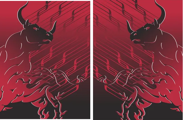 FRANSPORT TORO ROJO
