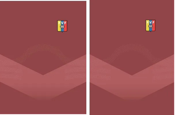FVF VENEZUELA CONCEPT