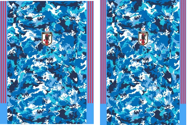 Fc Japon 2020 21