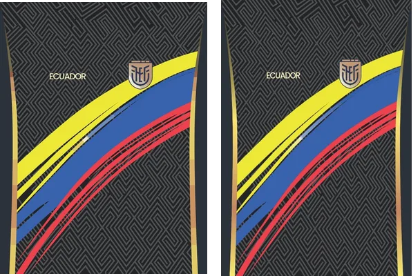 Federacion Ecuatoriana de Futbol concept