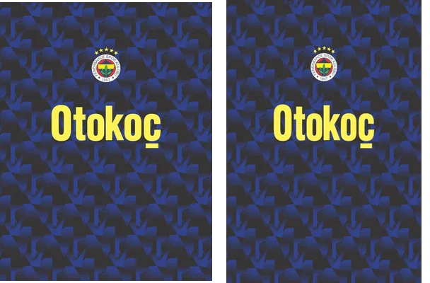 Fenerbahce 2023 2024