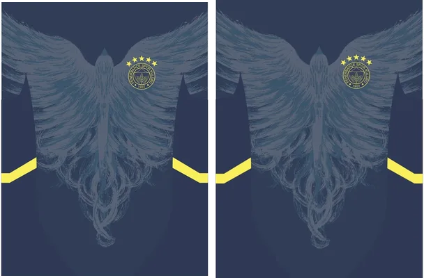Fenerbahce 2024 25
