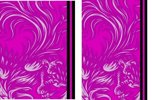 Fenix Interclasse Pink 25
