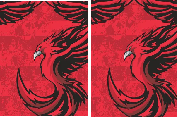 Fenix Interclasse Red PRO