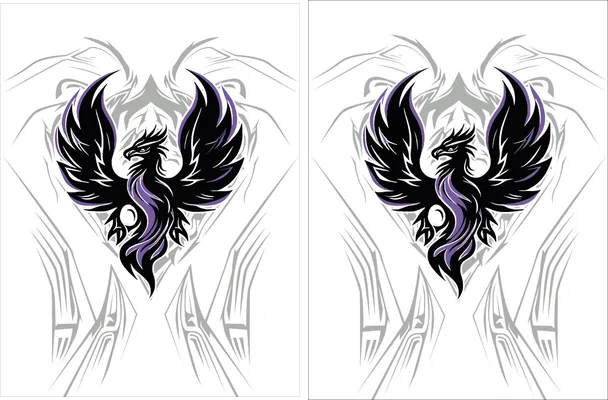 Fenix Sports Design