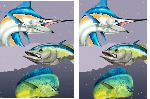 Fishing Workout Concept
