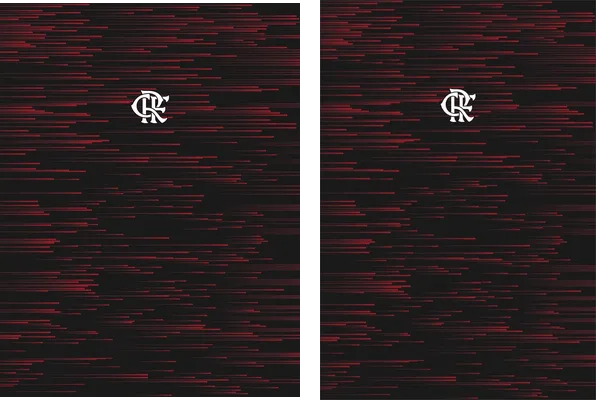 Flamengo Femenina