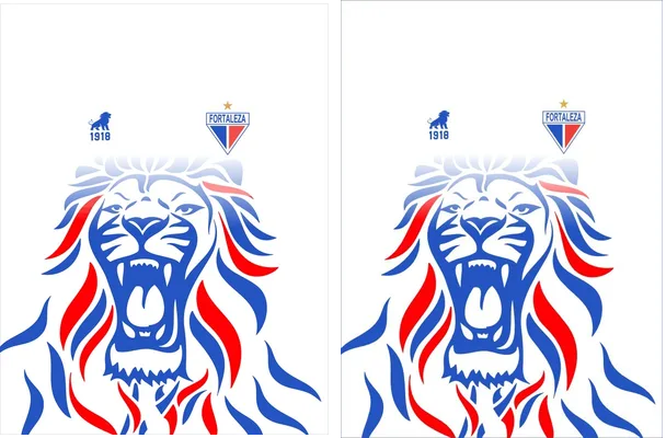 Fortaleza Esporte Clube 2025 26