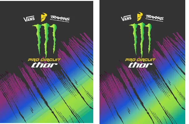Fox Racing Monster Energy