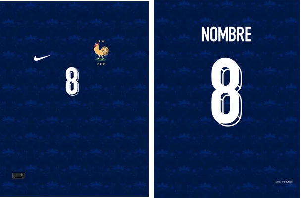 Francia Jersey Concept Blue PRO Q 1