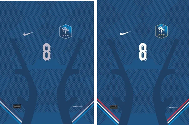 Francia Nike Concept PRO