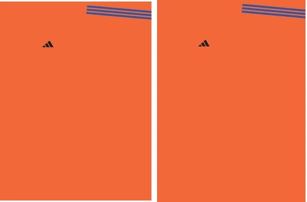 GOKU DISENO