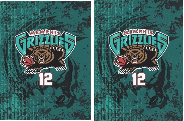 GRIZZLIES CONCEPT