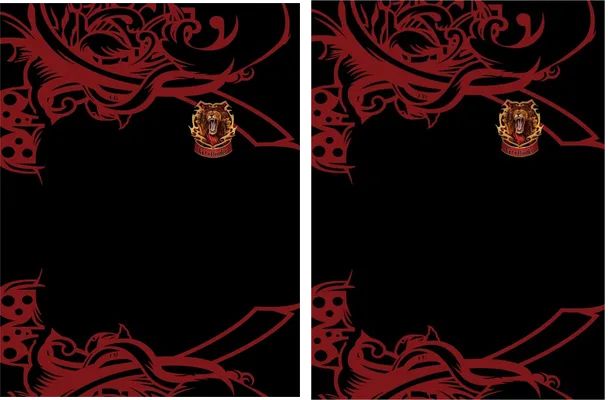 GRYFFINDOR JERSEY LYON