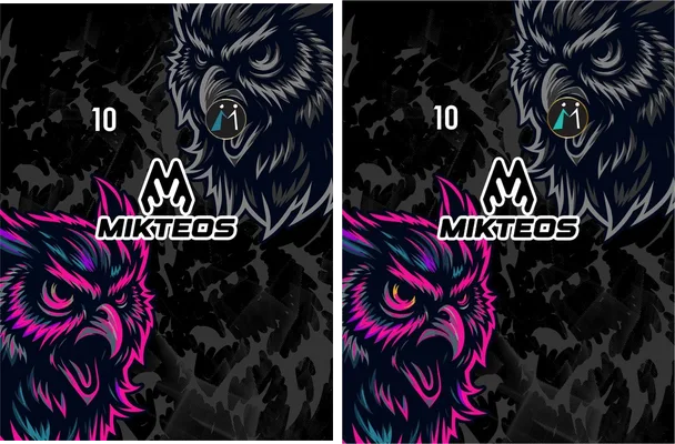 Goalkeeper Buho Designs