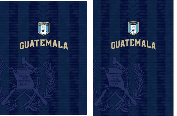 Guatemala Blue Bird Concept Q 1