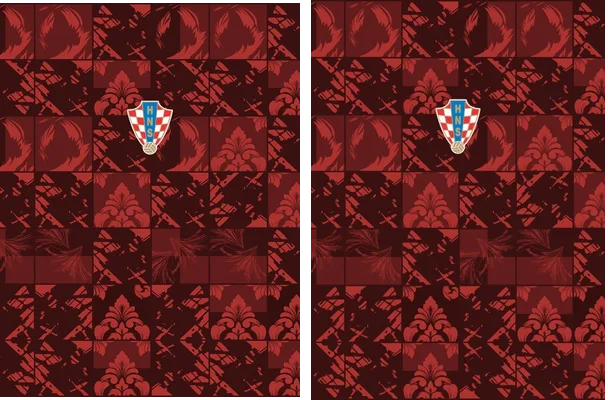 HNS CROACIA CONCEPT