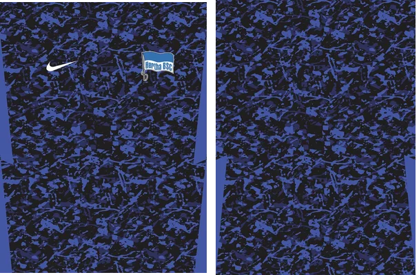 Hertha BSC Visita 2020 2021