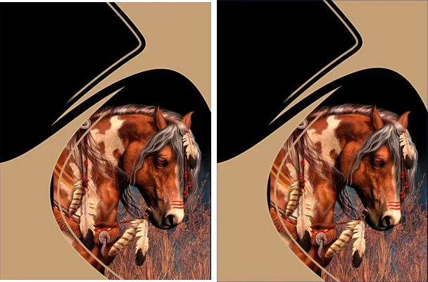 Horse Designs Black Concept