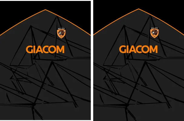 Hull City 2020 21 Away