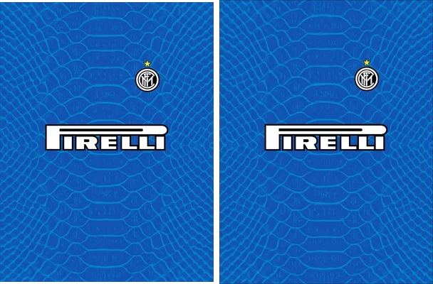 INTER DE MILAN 07