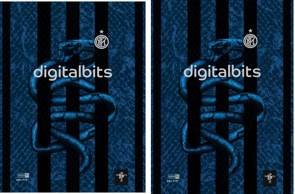 INTER DE MILAN D NOIRE CONCEPT
