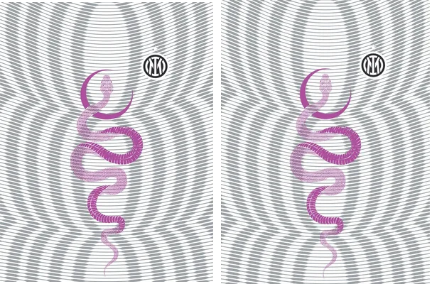 INTER DE MILAN SERPIENTE NIKE