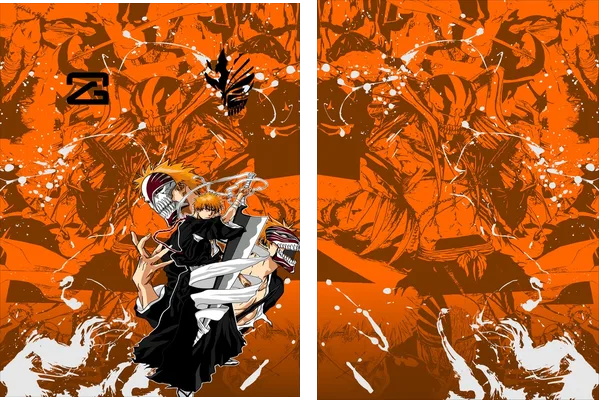 Ichigo Kurosaki Interclasse