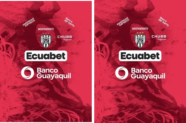 Independiende del Valle 2024 Away Q 1