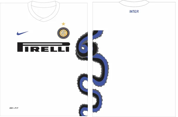 Inter Milan Visita 2010 2011