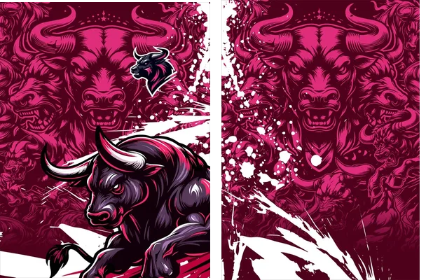 Interclasse Bull