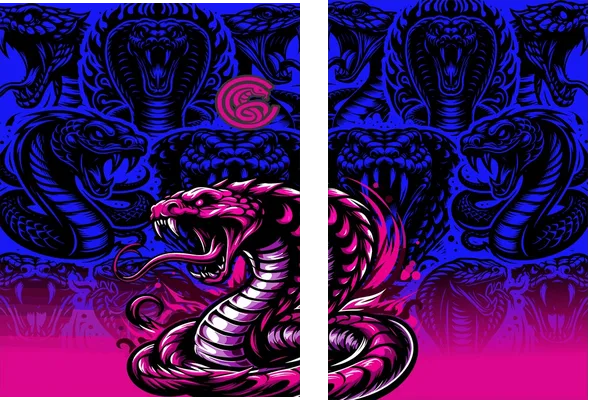 Interclasse Team Snake