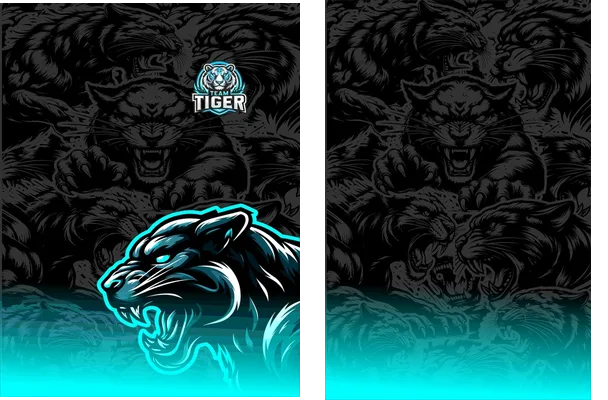 Interclasse Team Tiger