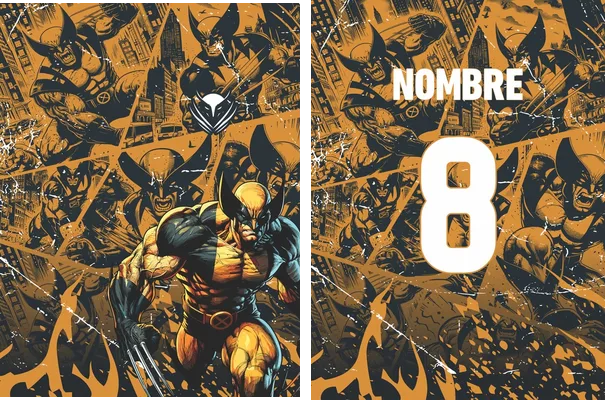 Interclasse Wolverine VS24 Q 1