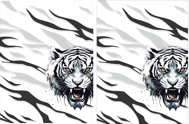 Interclasse tigre blanco