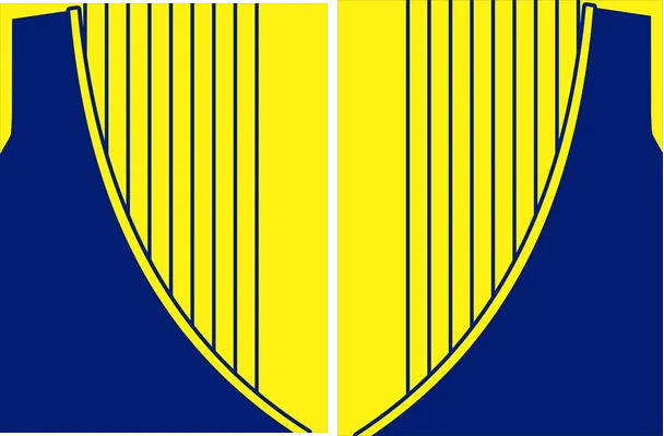 JERSEY AMARILLO AZUL LINEAS 2024