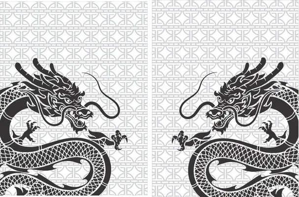 JERSEY BLANCO DRAGÓN TEXTURA 2024
