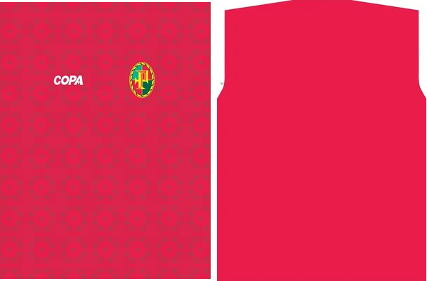 JERSEY COPA PORTUGAL 2019